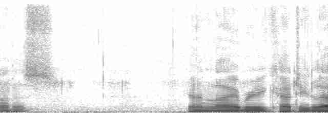 Silbermöwe (Kanadamöwe) - ML59251