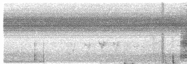 Black-crowned Tchagra - ML592528011