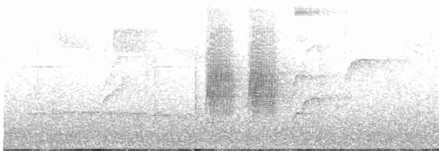 Kestane Karınlı Lacivert Öfonya - ML592531151