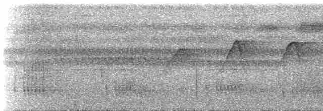 Rufous-tailed Stipplethroat - ML592553151