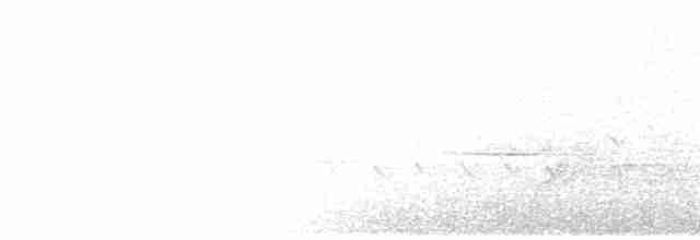 Тихоокеанский крапивник - ML592600101