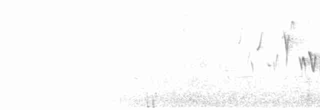 Тихоокеанский крапивник - ML592600161