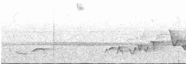 Серогрудый крапивник (bangsi) - ML592624851