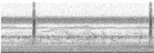 Red-breasted Meadowlark - ML592639151