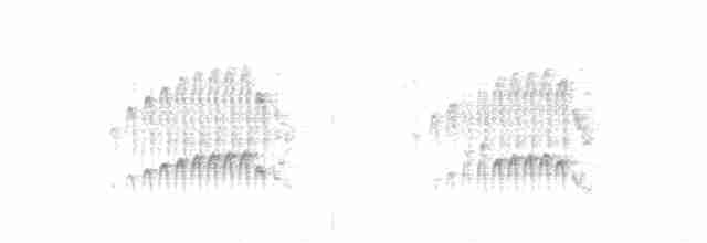 Корпуана білогорла - ML592652311