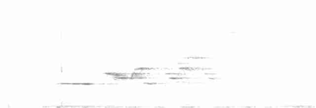 Дрізд-короткодзьоб плямистоволий - ML592654831