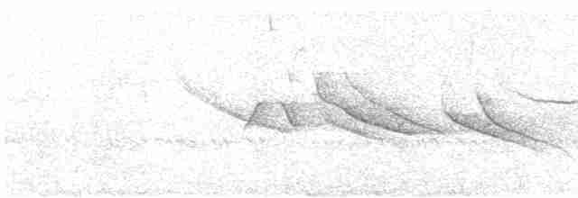 Peruvian Meadowlark - ML592668661