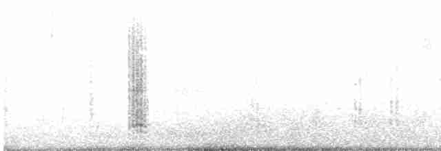 karančo jižní (ssp. plancus) - ML592688491
