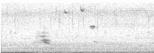 裏海燕鷗 - ML592690361