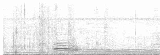 Motmot à bec large (groupe platyrhynchum) - ML592695271