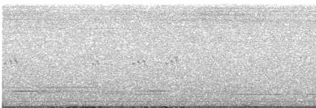 Neotropic Cormorant - ML592697911
