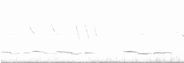 Патагонский тинаму - ML592716441