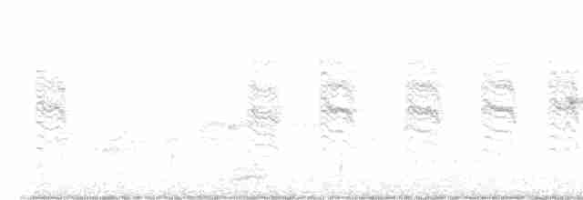 Braunaugenvireo (pusillus) - ML592736791