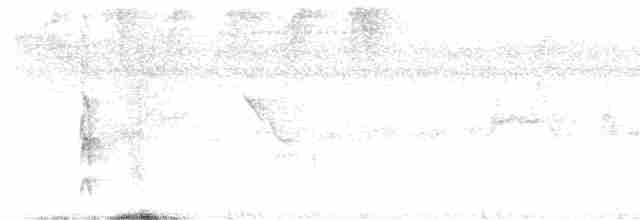 Сероголовый бентеви - ML592743931