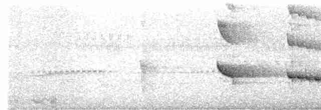 Woodland Kingfisher - ML592748581