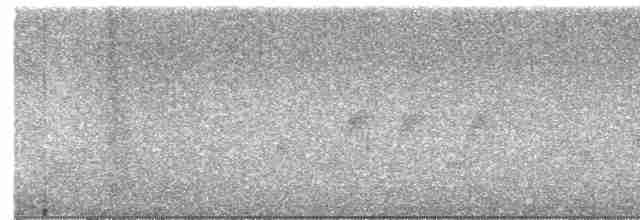 Mirlo Acuático Norteamericano - ML592753711