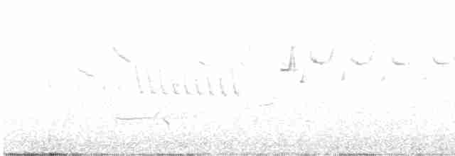 Pluvier grand-gravelot - ML592769211