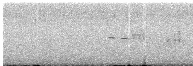 svartbrystfrankolin - ML592779701