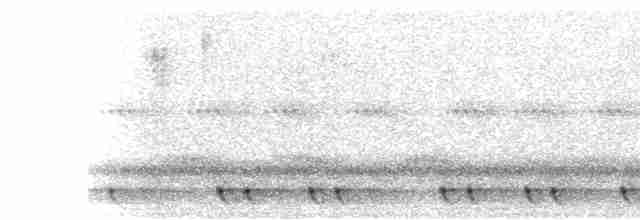 Red-necked Nightjar - ML592786241