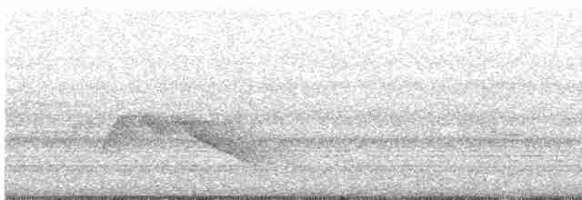 strakapoud bělohřbetý [skupina leucotos] - ML592788201