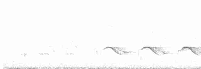 Оругеро смугасточеревий - ML592797821