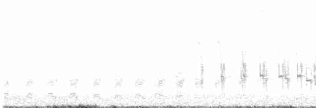 Белогорлая качолота - ML592797881
