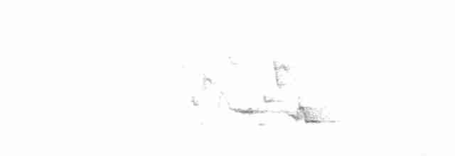 Обыкновенная иволга - ML592819021