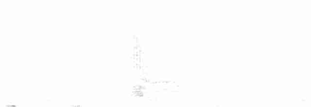Kiefernsaftlecker - ML592822091