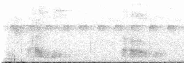 Пятнистоклювый туканчик - ML592833171