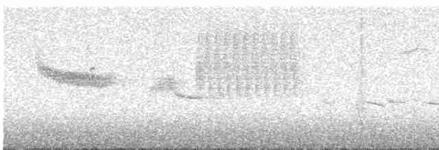 Dacnis Andino (petersi/bella) - ML592835051