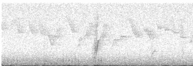 Tit-like Dacnis (petersi/bella) - ML592835061