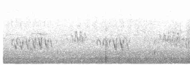 Northern Bald Ibis - ML592841121