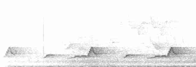 Schwarzkehl-Nachtschwalbe - ML592872921