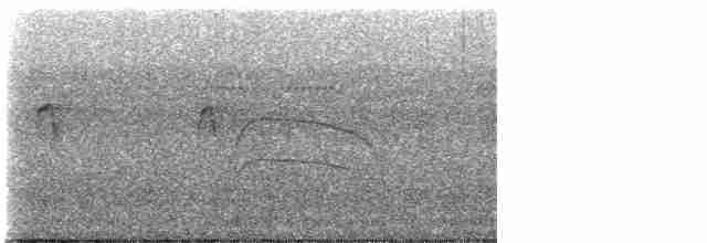 Élénie à tête grise - ML592896361