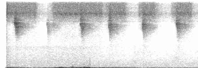 Зубцеклювый колибри - ML592897961