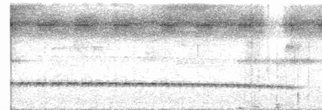 Tüpfelkronen-Ameisenvogel - ML592898221