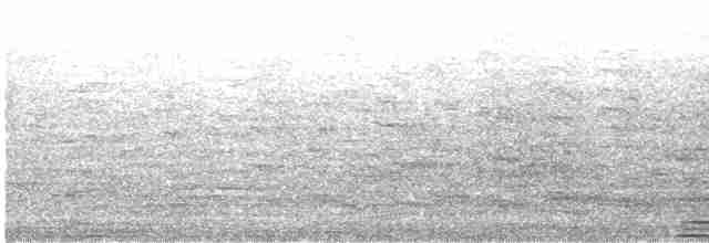 Pelagic Cormorant - ML592922331