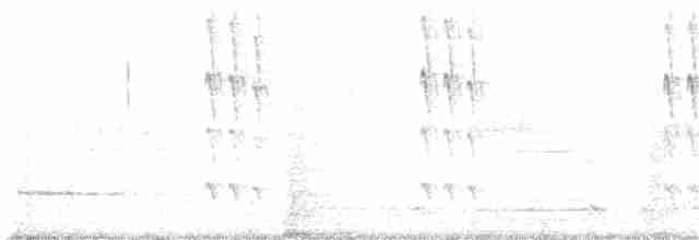 Kara Boğazlı Kolibri - ML592958321