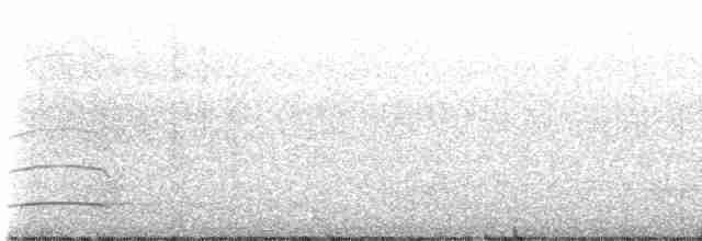 Copetón de Swainson - ML592964041