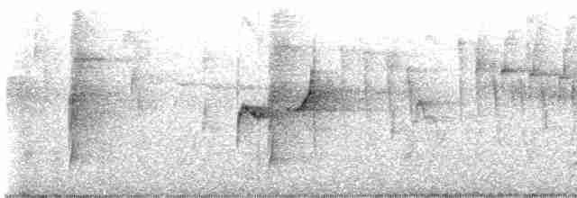 Пёстрый бентеви (solitarius) - ML592964371