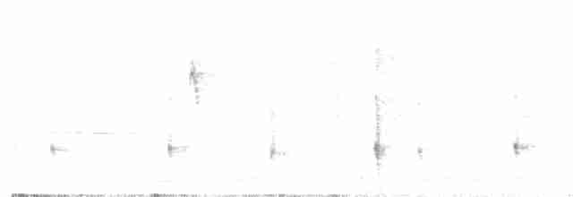 Черноспинный трёхпалый дятел - ML592966031