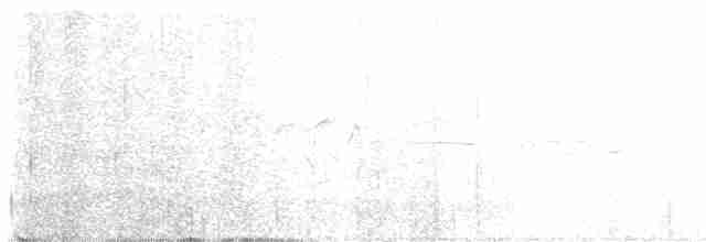 Common Yellowthroat - ML592984021
