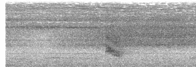 Сичик-горобець буроголовий - ML592997701