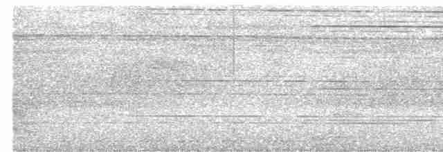 Сичик-горобець буроголовий - ML592997751