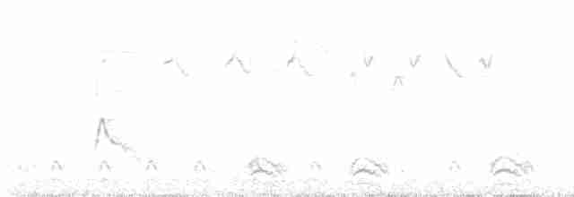 lesňáček černobílý - ML593001831