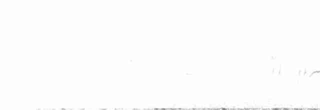 langhalemønjefugl - ML593002401