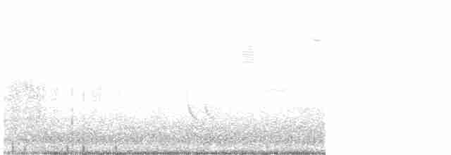 Короткоклювый бекасовидный веретенник - ML593006981
