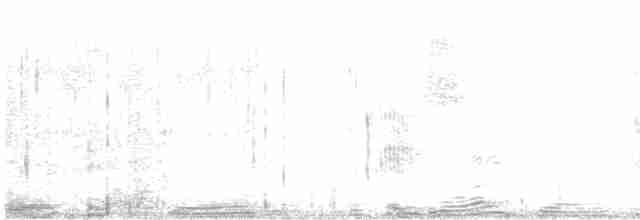 Черноспинный трёхпалый дятел - ML593017151