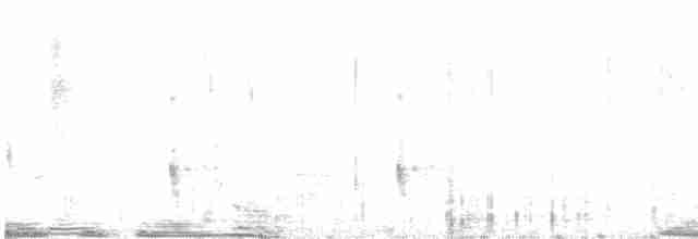 svartryggspett - ML593017161