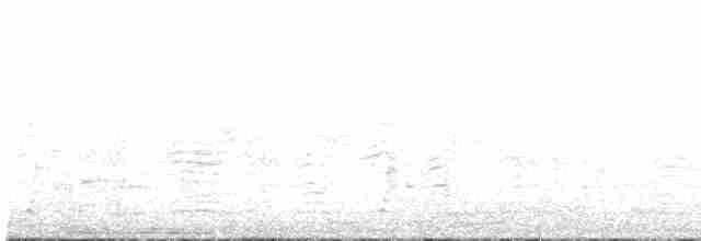 buřňák šedý (ssp. borealis) - ML593031311